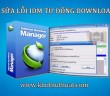 sua_loi_idm_tu_dong_download_tren_firefox_ie_opera